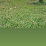 Danielle Nathan - @linanike98 - Instagram