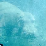 Danielle Nauta - @blackberry_prize - Instagram