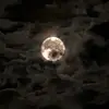 Danielle Navarro - @danielle.navarro51 - TikTok