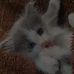 Daniela Negrete - Facebook