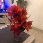 Danielle Neri - @dany383838 - Instagram