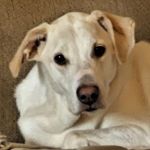 Danielle Nester - @nester1081 - Instagram