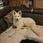 Rémy Billen - @danielle_neu - Instagram
