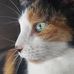 Danielle Bernard-Nivez - Facebook