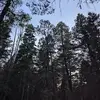 daniellenunez3 - @daniellenunez3 - TikTok