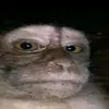DanielleOneill - @user88151179403817 - TikTok