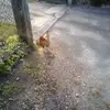 garde.danielleorange.fr - @garde.danielleorange.fr - TikTok