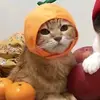 kitty💗 - @daniellelovesorange - TikTok