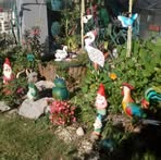 Danielle Orloff - Facebook