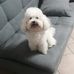 Daniele Palumbo - Facebook