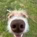 Danielle Paynter - Facebook
