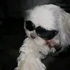 Danielle.peake - @dan.dan.420 - TikTok