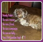 Danielle Peaker - Facebook