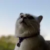 Danielle - @danielle_.peck - TikTok