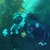 Danielle Peck - @divemasterdani - TikTok