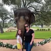 daniellepeeri - @daniellepeeri - TikTok