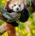 Danielle Pepin - Facebook