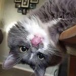 Danielle Pepin - @pepin1606 - Instagram