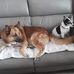 Danielle Perard - Facebook