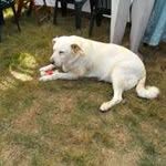 Danielle Marcel Herviou Perrot - @herviouperrot - Instagram