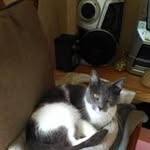 Danielle Perrot - @danielle.perrot.52 - Instagram