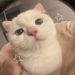 dani - @dani.elle_pesce - Instagram