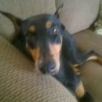Danielle Phifer - Facebook
