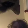 Danielle Proctor - @danielleproctor - TikTok