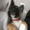 Danielle Proctor - @danielleproctor89 - TikTok