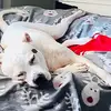 Danielle Proctor - @user9294506127671 - TikTok