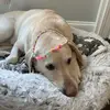 Danielle Ransier - @danielleransier - TikTok