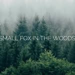 Danielle Ratcliffe - @smallfoxinthewoods - Instagram