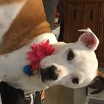 Danielle Raybould - @shiner_peaches - Instagram