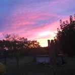 Danielle Raynal - Facebook