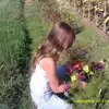 dani - @danielleereay - TikTok
