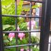 Danielle Rech - Facebook