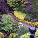 Danielle Redding - @starflowergarden - Instagram
