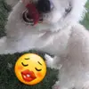 Danielle Reinaldo - @daniellereinaldo1 - TikTok