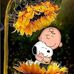 Danielle Rewis - Facebook