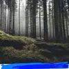 daniellerhoadesgo - @daniellerhoadesgo - TikTok