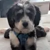 danielle riendeau - @dsutton918 - TikTok