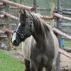danny - @daniellerita0 - TikTok