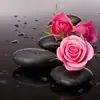 daniellebritz - @daniellebritz3 - TikTok