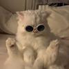 Danielle.Rivière - @rosalmqua8b - TikTok