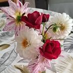 Danielle Robin - Facebook