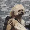 Danielle Robles - @30954123433 - TikTok