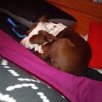 Danielle Rady - Facebook