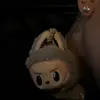 dani - @danielle_rojas1 - TikTok