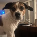 Danielle Doerfler Rowlands - @rowlands1858 - Instagram