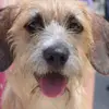 daniellerowley72 - @daniellerowley72 - TikTok
